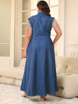 Liora | Plus Size Denim Dress