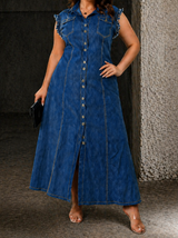 Liora | Plus Size Denim Dress
